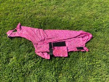 Mini shetland pink for sale  HORSHAM
