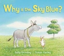 Why the sky d'occasion Why the sky d'occasion  Expédié en France