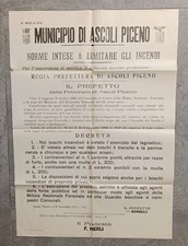 Manifesto 1928 comune usato  Magenta