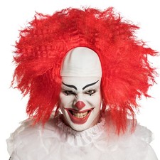 Perücke horror clown gebraucht kaufen  Dettingen an der Erms