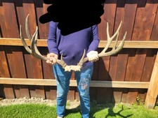 Nice wide set for sale  Baker City
