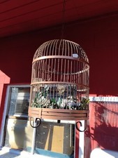 Big bird cage for sale  Weaverville