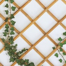 Traliccio 90x240 bamboo usato  Roma