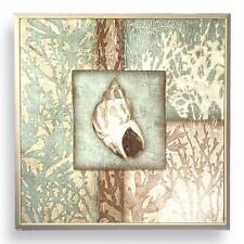 Seashell canvas print for sale  West Plains