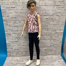 Barbie ken fashionistas for sale  Saint Cloud