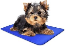 Arf pets dog for sale  Edison