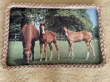 Wicker tray vintage for sale  TOTNES