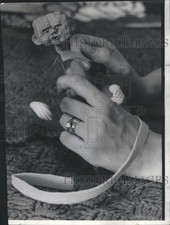 1975 press photo for sale  Memphis