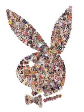 Playboy magazines 2002 for sale  Jacksonville