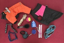 Hunde paket gebraucht kaufen  Malchow