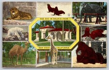 san diego seals for sale san diego seals for sale USA