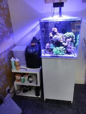 Mature aqua one for sale  RUSHDEN