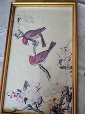 Vtg framed bird for sale  Seattle