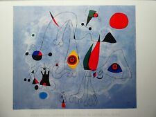Jean miro donna gebraucht kaufen  Würselen