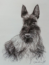 Original pen ink for sale  ABERYSTWYTH