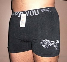 Boxer for you d'occasion  Vif