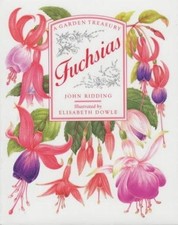 Fuchsias ridding john for sale  ROSSENDALE