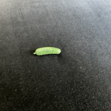 Heinz pickle pin for sale  Kankakee
