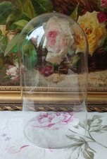 Globe cloche verre d'occasion  France