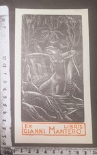 Wunderkammer exlibris 124 usato  Pescara