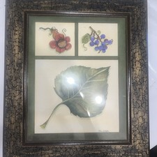 Quadro botânico emoldurado cozinha jardim despensa folha flores uvas comprar usado  Enviando para Brazil