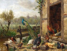 Oil painting Carl Jutz birds a-poultry-courtyard Peacock Chicken Duck Poultry comprar usado  Enviando para Brazil