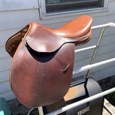 Luc childeric jumping for sale  Castalia