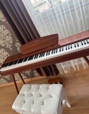 Donner ddp piano gebraucht kaufen  Hamburg
