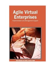 Agile virtual enterprises gebraucht kaufen  Trebbin
