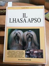 Lhasa apso camille usato  Italia