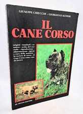 Cane corso. giuseppe usato  Arezzo