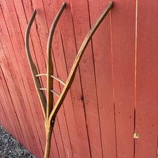 Antique 1800 wooden for sale  Pagosa Springs