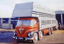 Col photo tom for sale  GRANTHAM