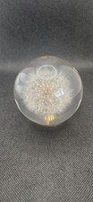 Hippocampus seed dandelion for sale  WREXHAM
