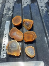 Sumatran indonesian agate for sale  East Carbon