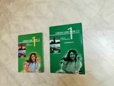 Green line new gebraucht kaufen  Deutschland