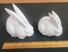 2 rabbits for sale 2 rabbits for sale Loves Park