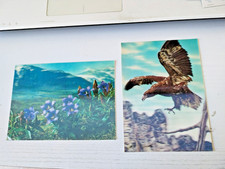 Cartes postales relief d'occasion  Roquebrune-Cap-Martin