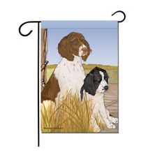 English springer spaniel for sale  Honesdale