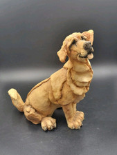 Golden retreiver dog for sale  Philadelphia