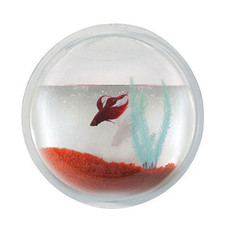 Wall mounted fish for sale  San Diego