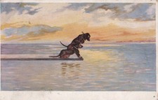 Usado, Cartão postal antigo de casal de cachorros Dachshund no mar comprar usado  Enviando para Brazil