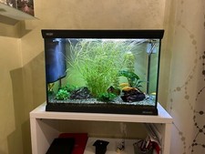 Acquario 70lt completo usato  Castelfranco Emilia