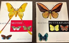 Beautiful moths beautiful for sale  Ridgecrest