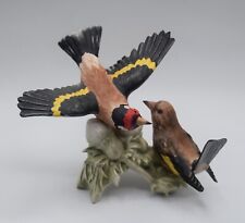 european goldfinch for sale european goldfinch for sale Staten Island