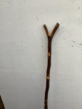 Good strong lincolnshire for sale Good strong lincolnshire for sale  LOUTH