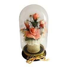 Vintage glass cloche for sale  Rolesville