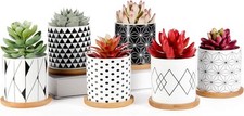 Succulent pots pack for sale  Vermilion