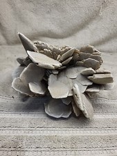 Desert sand rose for sale  San Diego