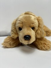 Golden retriever puppy for sale  Youngstown